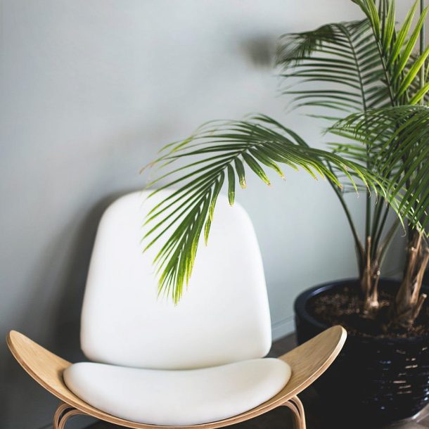 Modern Chair